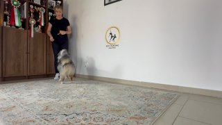 Szlalom Tananyag