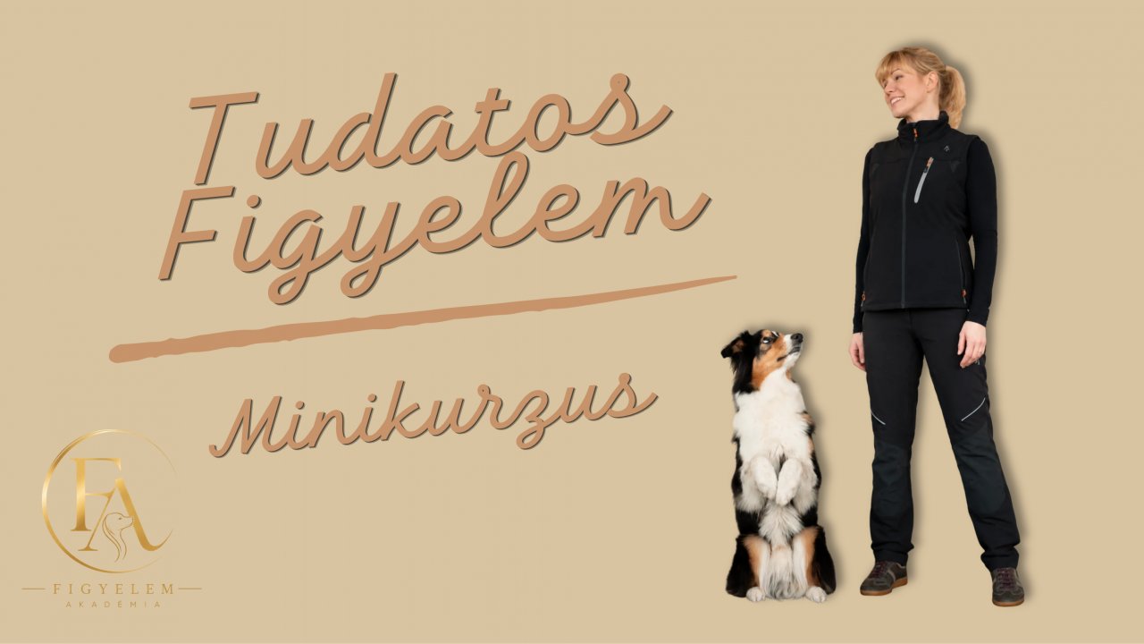 Tudatos Figyelem Minikurzus