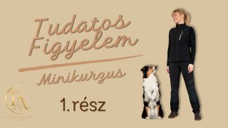 Figyelem alapozása