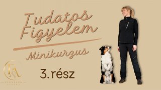 Figyel-feladat-figyel